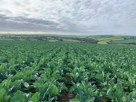 farming,innovation,yields,crop trials,arable,biostimulant,maize,dairy,on-farm
