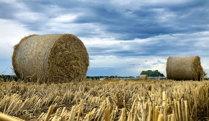 farming,innovation,yields,crop trials,arable,biostimulant,maize,dairy,on-farm