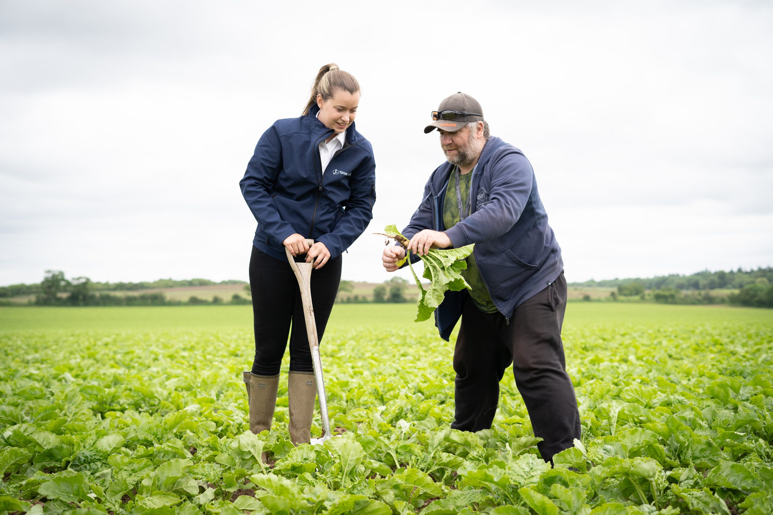 Farmer and TIMAC AGRO Technical Specialist checking sugar beet development in the UK.
