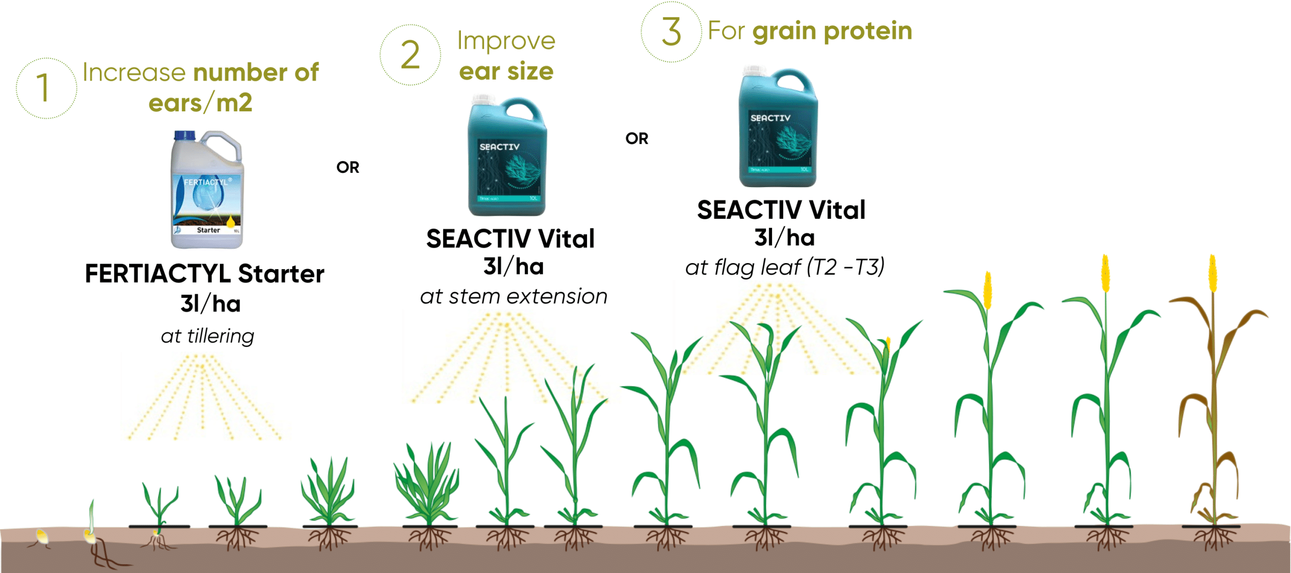 crop program (2)