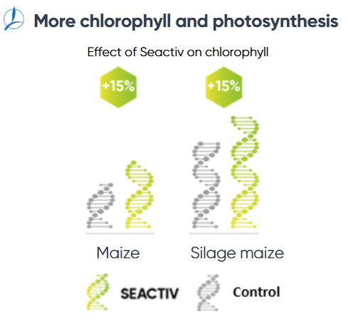 seactiv chlorophyl