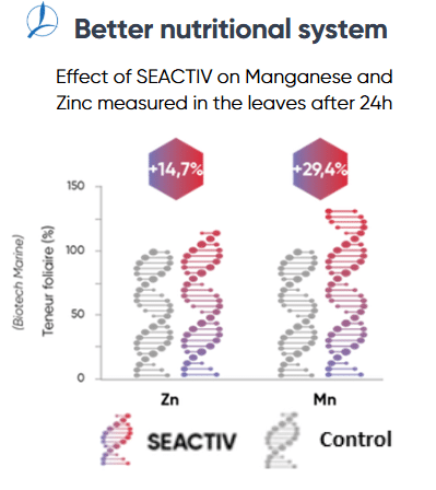 seactiv zinc manganese