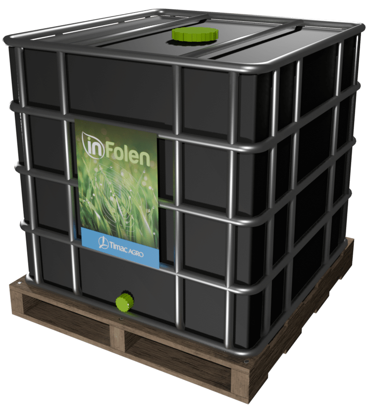 INFOLEN E