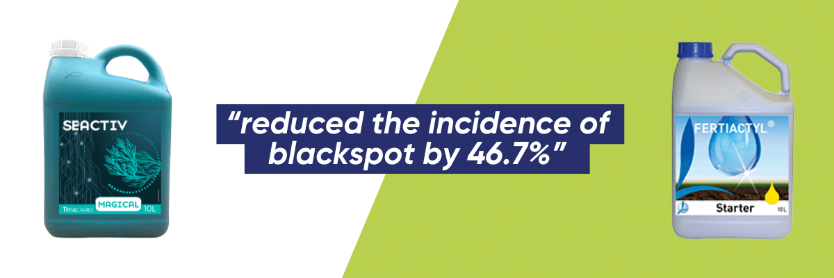 Radish trial with G's Fresh showed that TIMAC AGRO Biostimulants reduce blackspot by 46.7%.