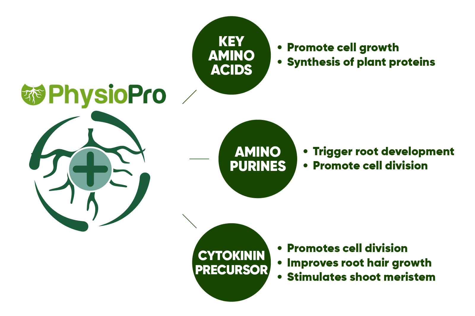 PhysioPro - TIMAC AGRO